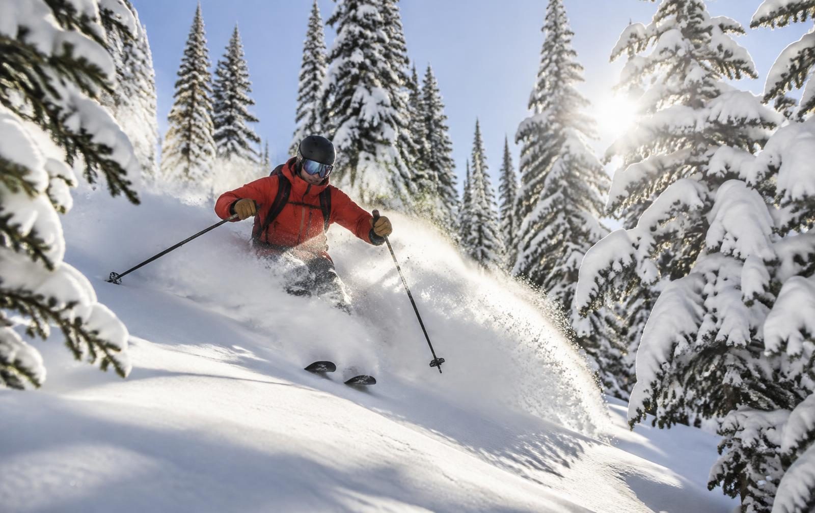 A skier in a red jacket sending up spray while turning through deep powder in a sunlit pine glade